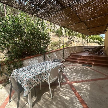 La Pineta Al Mare Apartman Erice Kültér fotó