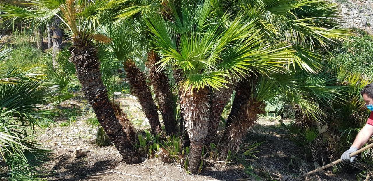 La Pineta Al Mare Apartman Erice Kültér fotó