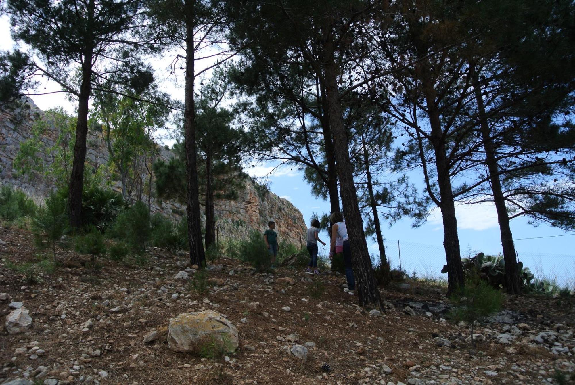 La Pineta Al Mare Apartman Erice Kültér fotó